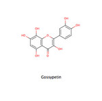 Gossypetin