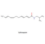Echinacein
