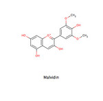 Malvidin