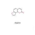 Angelicin
