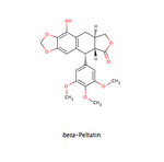PeltatinBeta