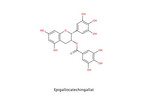 Epigallocatechingallat