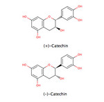 Catechin